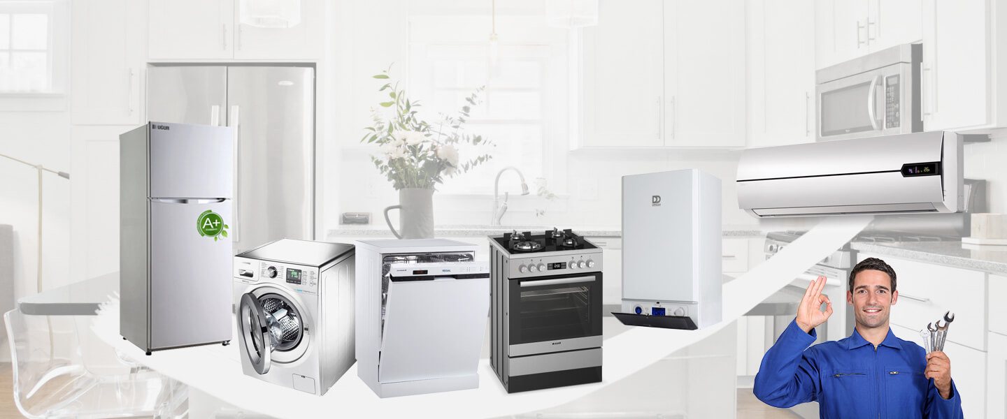 Altunhisar Electrolux Servisi